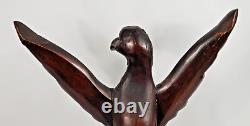 Finely carved eagle mahogany wood Antique folk art 17.5 x 18.5 late 1800's