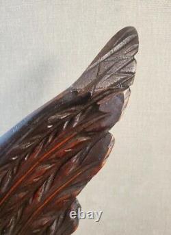 Finely carved eagle mahogany wood Antique folk art 17.5 x 18.5 late 1800's