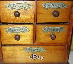 Late 19th Century Antique 5 Drawer Apothecary Spice Cabinet With Brass Labels